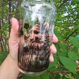 Herbes - Verre double-paroi