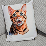 Chat tigré - coussin doux
