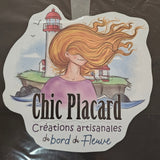 Appliqué de vinyle imprimé thermocollant personnalisé ($/pouce carré)