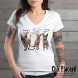Chats sphynx - T-shirt femme G/L