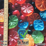 Jujubes- Coupe-vent (au 1/2m)