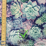 Succulents - Windproof (1/2m)