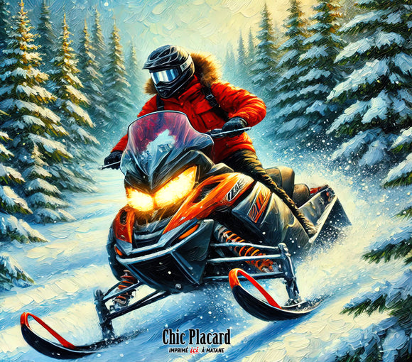 Motoneige - Verre en inox à 2 couvercles