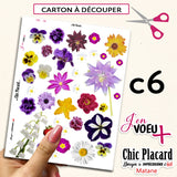 V32 Matane : J'en voeux + carton à découper à l'unité