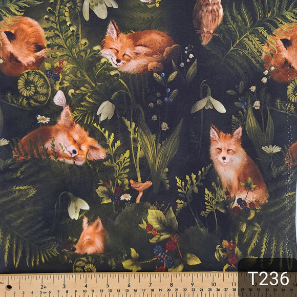 T236 Toque Foxes (on order/model of your choice)